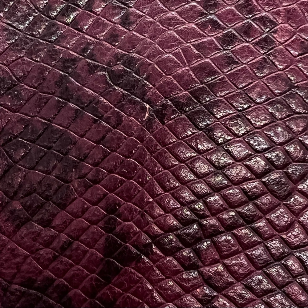 COACH Journal Crossbody In Colorblock Exotic Embossed Leather EUC - Picture 10 of 16